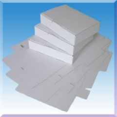 100 Maxibrief Karton 250 mm x 175 mm x 50 mm, weiss